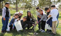 Van’da Miniklerden İklim Günü’ne Yeşil Dokunuş