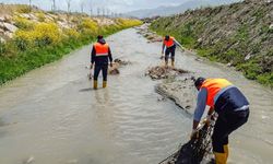 Van Büyükşehir’den İnci Kefali İçin Temizlik Seferberliği