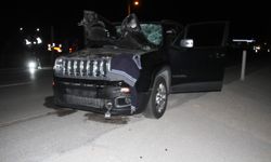 Beyşehir'de Feci Kaza: Yaya Hayatını Kaybetti