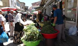 Van’da Dağlardan Toplanan Şifalı Otlar Tezgâhlarda