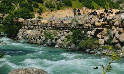 Koyun Sürüsü Görenleri Hayran Bıraktı