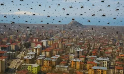 Vanlıların kâbusu uyandı!