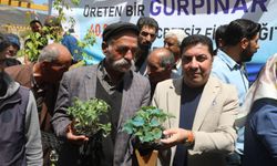 Gürpınar Belediyesi’nden Çiftçilere Büyük Destek: 45 Bin Fide Dağıtıldı!