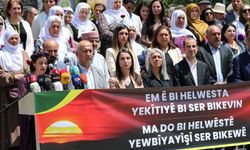 Van Milletvekili Resmen Duyurdu: Demokratik Birlik İnisiyatifi kuruldu