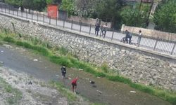 İnci Kefalleri Akköprü Deresi’nde Görsel Şölen Sunuyor