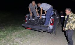 Pancar Toplarken Uçurumdan Düşen Kadın Hayatını Kaybetti