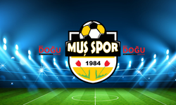 Muşspor, Tarihi Zafer Elde Ederek 2. Lig’e Yükseldi!