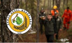 OGM 3.477 personel alımı başvuru sonuçları sorgulama ekranı