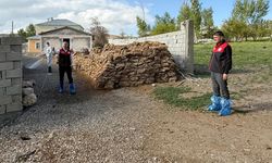 Van’da Hayvan Sağlığı İçin Seferberlik: Taramalar Yapıldı, Mahalleler Dezenfekte Edildi
