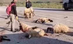 Van-Bitlis Karayolunda Feci Kaza
