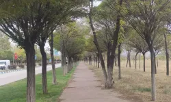 Yağmur Azaldı, Van Solgunlaştı