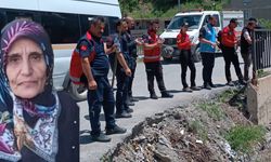 Hakkari'de Kayıp Feleknaz Keskin'i Arama Çalışmaları Sürüyor