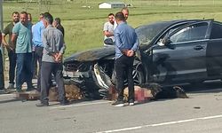 Otomobil sürüye çarptı, onlarca koyun telef oldu