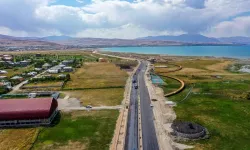 Van Gölü Sahil Yolu'nda Yaz Akşamları Sinekle Mücadeleye Takıldı
