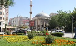 Van caddelerinde açan çiçekler şehre renk kattı
