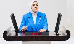 “Verginin Yarısı Faize Gidiyor, Halk İstatistik Değil”