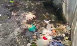 Van-Erciş Yolu Üzerindeki Çeşmede Görülen Manzara Pes Dedirtti