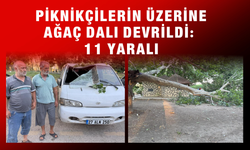 Piknik alanında ağacın dalı vatandaşların üzerine devrildi: 11 yaralı