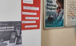 Van İl Müdürlüğü ''normal doğum eylem planını'' nasıl uyguladıklarını açıkladı