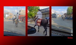 Van’da Trafikte Atlı Yolculuk Kamerada