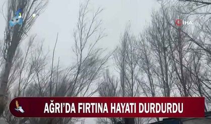 Ağrı’da fırtına hayatı durdurdu!