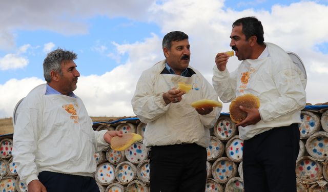 Van’da Rekor Bal Hasadı: Tanıtım Eksikliği Üreticiyi Zorluyor