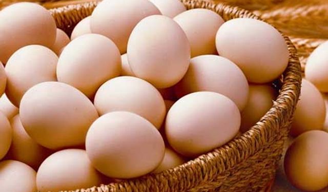 ABD Tarım Bakanı'ndan Yumurta Krizi Eleştirilerine 'Türkiye' Yanıtı!