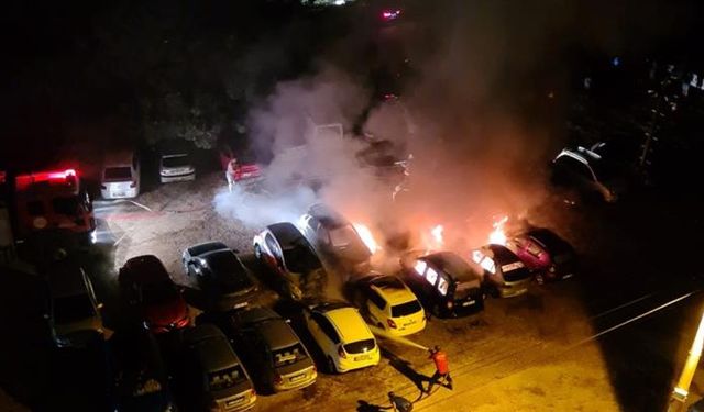 Park halindeki araçlar ve karavan alevlere teslim oldu