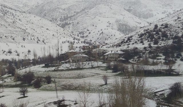 Van'da Kardelenler Açtı, Damlar Hâlâ Karlı
