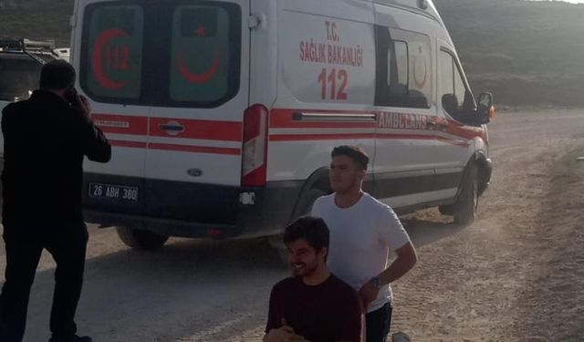 Ünlü oyuncu içinde bulunduğu aracın şarampole devrilmesi sonucu yaralanarak hastaneye kaldırıldı
