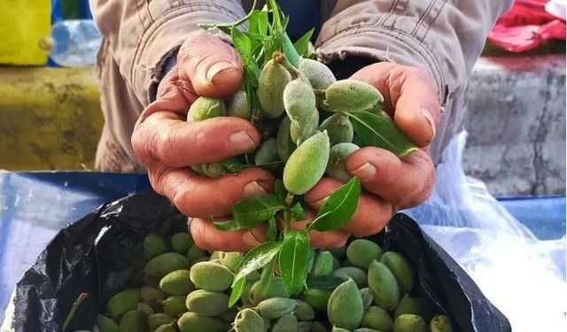 Van’da çiçek açtı bu yıl kilosu 250 TL: Baharın müjdecisi pazar tezgahını süsledi