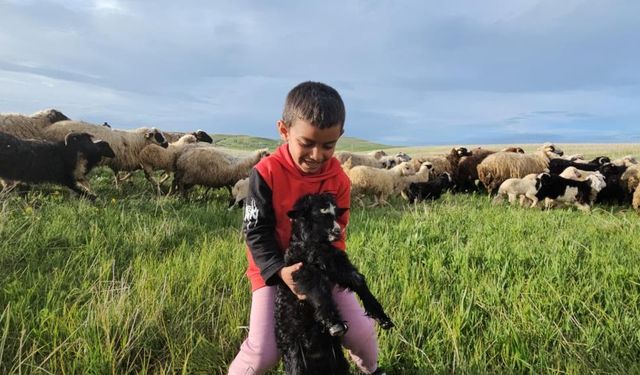 Bitlis'te 7 aylık yayla göçü vakti geldi