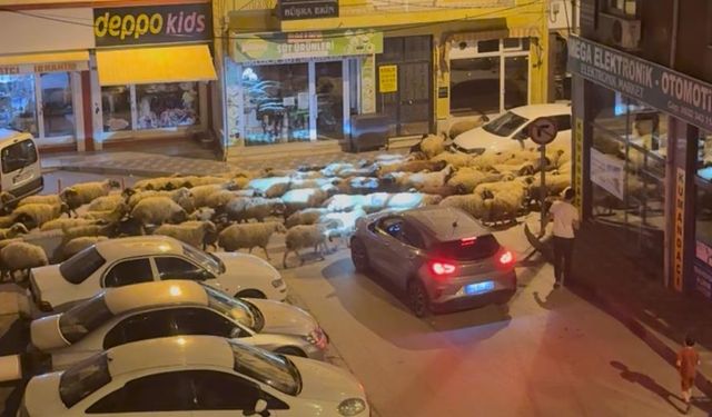 Gece Başlayan Yayla Göçü Dron İle Görüntülendi