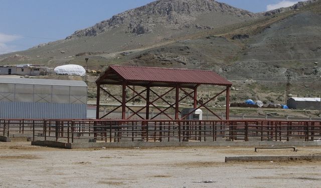 Van Hayvan Pazarı Neden Kapatıldı? Tarım Bakanlığı'ndan Açıklama Geldi