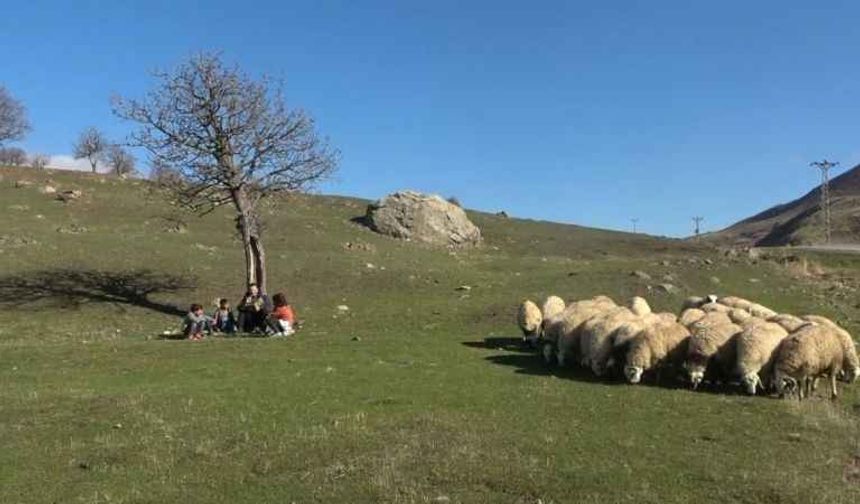 Köyün tek öğretmeni öğrencilerini geleceğe hazırlıyor!