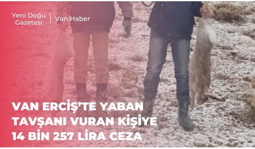 Van Erciş’te Yaban Tavşanı Vuran Kişiye 14 Bin 257 Lira Ceza