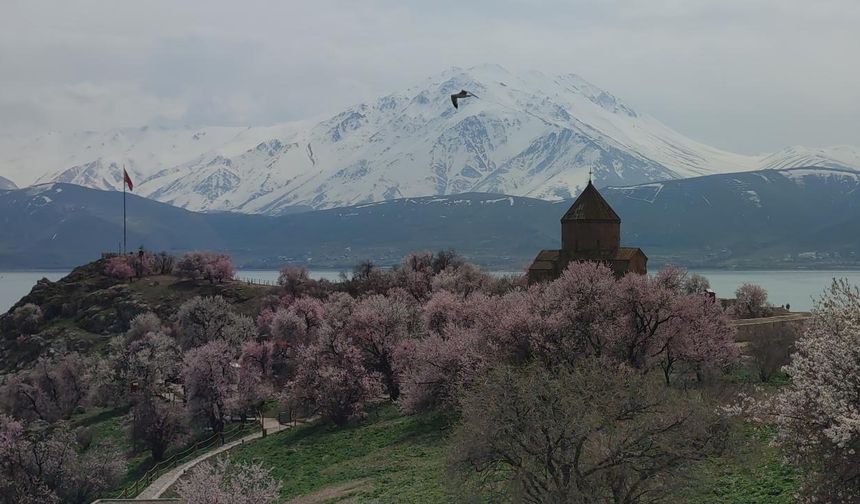 Van Akdamar çiçek festivali ne zaman? Akdamar adasına nasıl gidilir