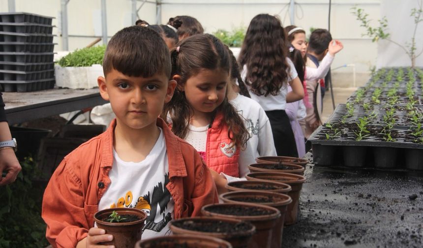 Van’da Minik Öğrenciler Serada Doğayla Buluştu