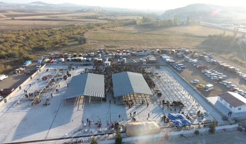 Şap Hastalığı Nedeniyle Kemallı Köyü Karantinaya Alındı, Hayvan Pazarı Kapatıldı