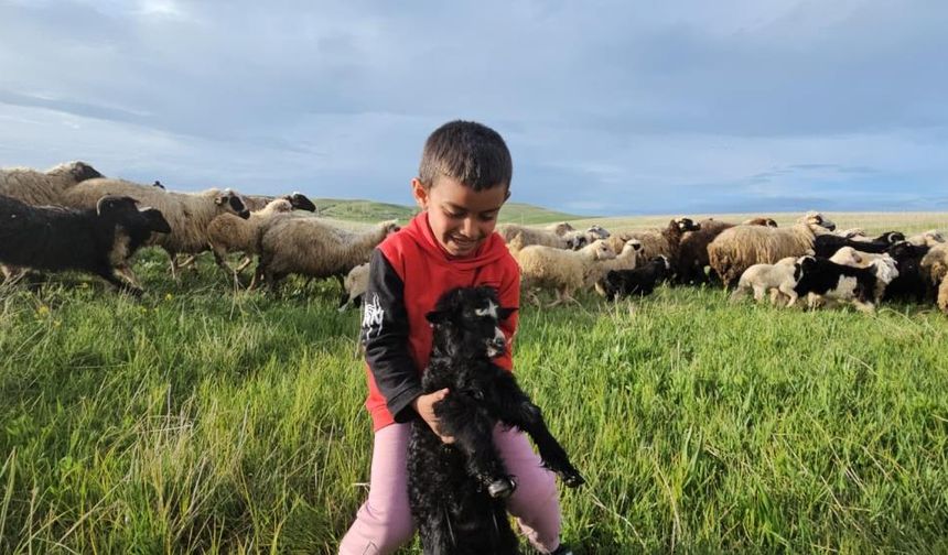 Bitlis'te 7 aylık yayla göçü vakti geldi