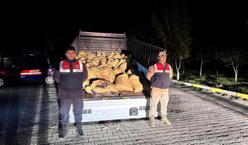 Van Gölü’nde Kaçak Av Operasyonu: 3,8 Ton İnci Kefali Ele Geçirildi