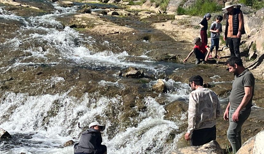 İnci kefalinin göçü yerli ve yabancı turistlerin ilgi odağı oldu