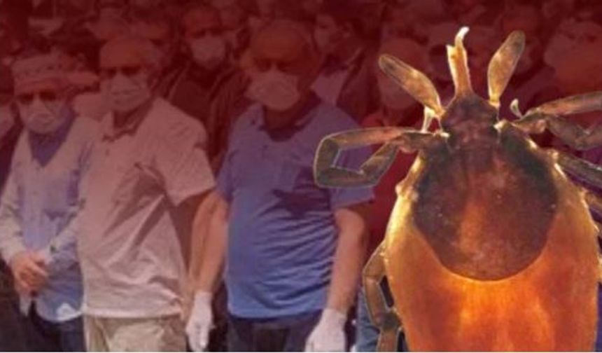 Pikniğe giderken kene vakalarına karşı nasıl giyinmeli? Uzmanı açıkladı