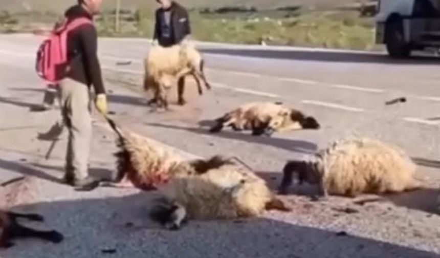 Van-Bitlis Karayolunda Feci Kaza