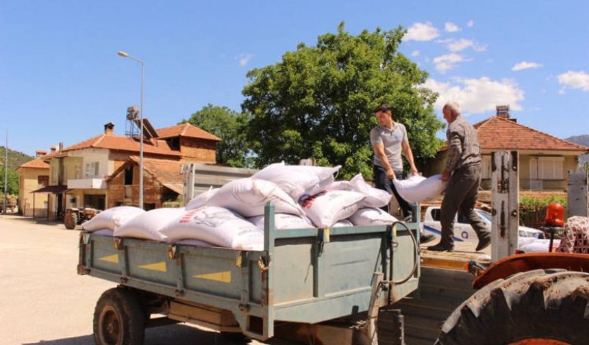 Van'da Çiftçilere 38 Milyon TL Yem Bitkisi Desteği