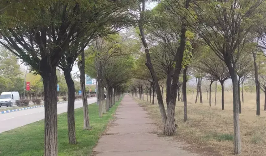 Yağmur Azaldı, Van Solgunlaştı