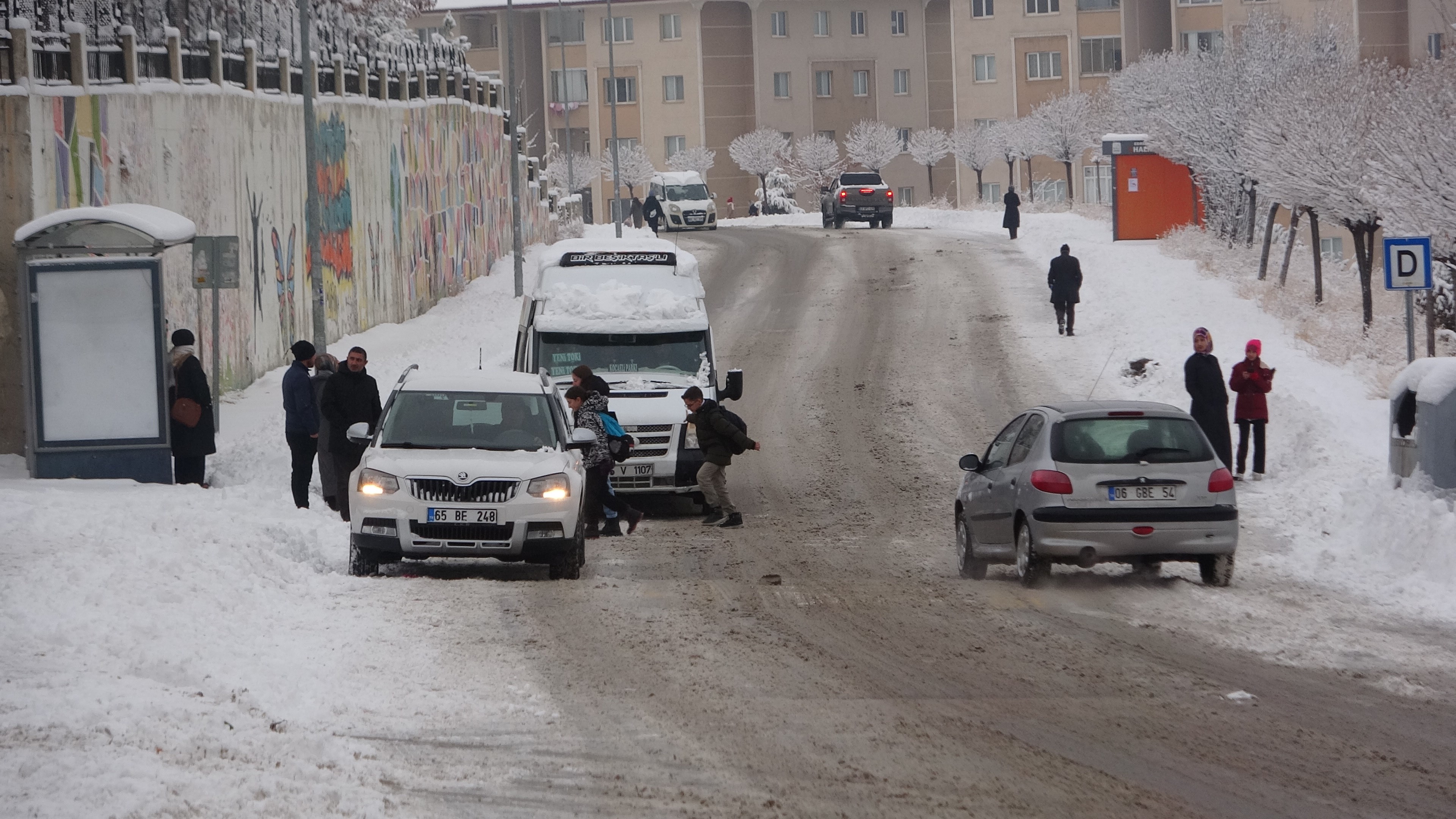 Van'da Kar Yağışı Hayatı Durma Noktasına Getirdi (2)