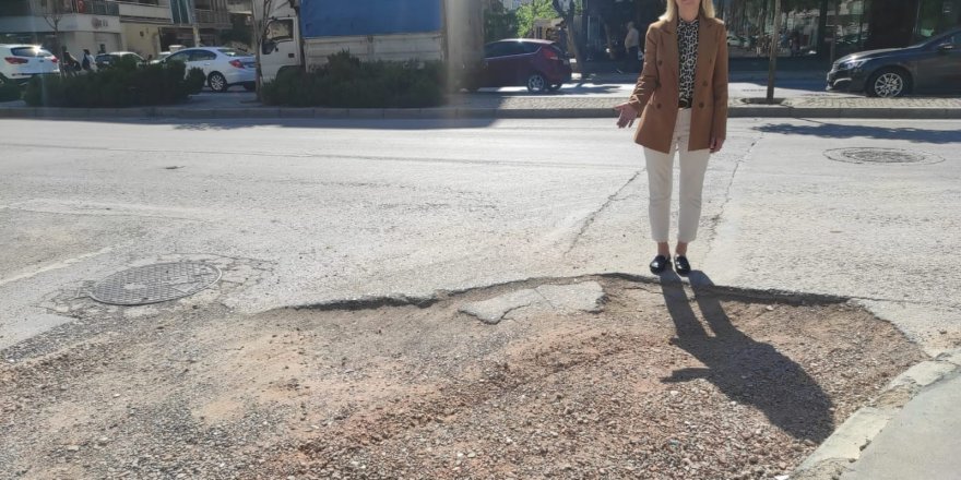 Van Köstebek Yuvasına Döndü (2)