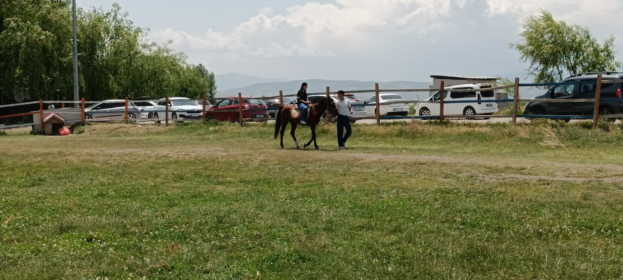 Van Kalesi Manzaralı At Keyfi Fiyatlar Şaşırttı! (2)